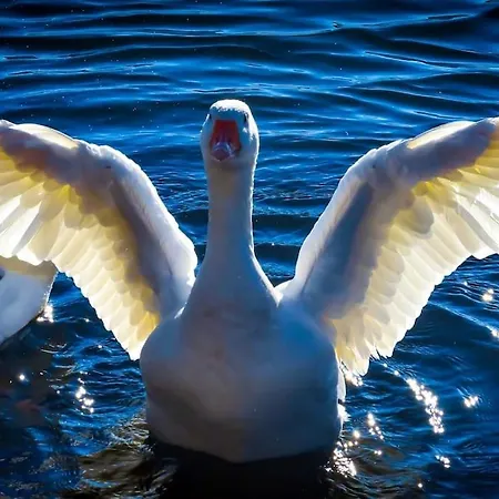 La Maisonnette Vila *