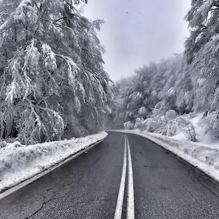 Vila La Maisonnette *