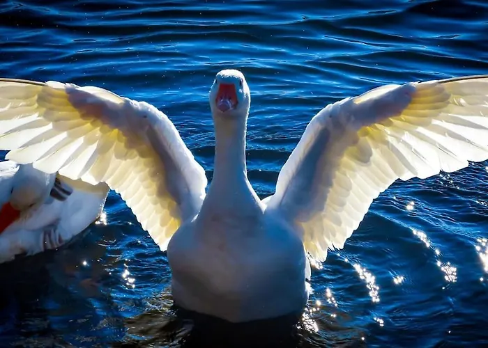 La Maisonnette Villa *