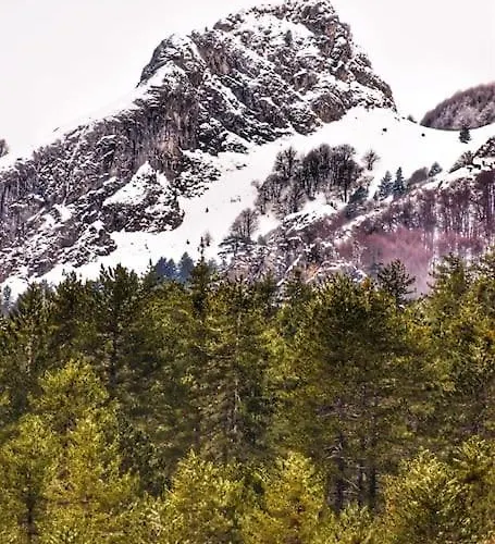 Villa La Maisonnette